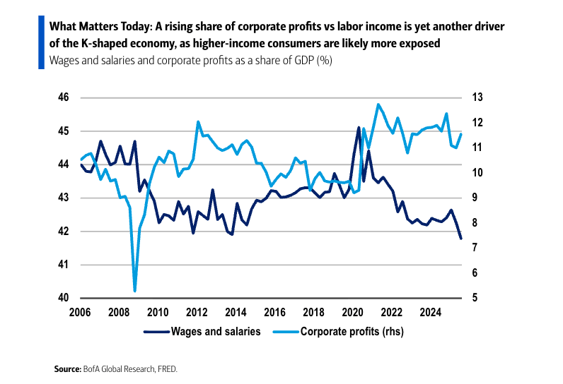 Why Executives Embrace AI While Workers Resent It: Profits Claim Productivity Gains